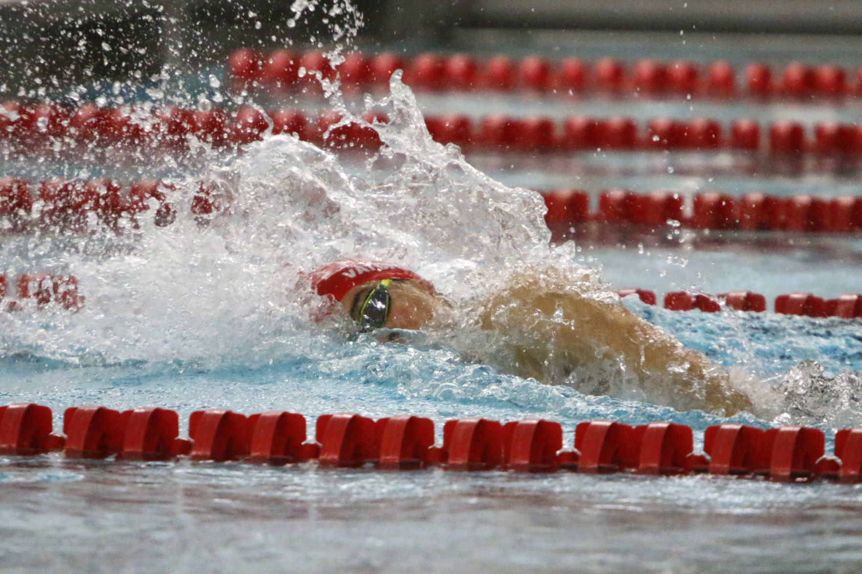 Gallery: NCC swim meet